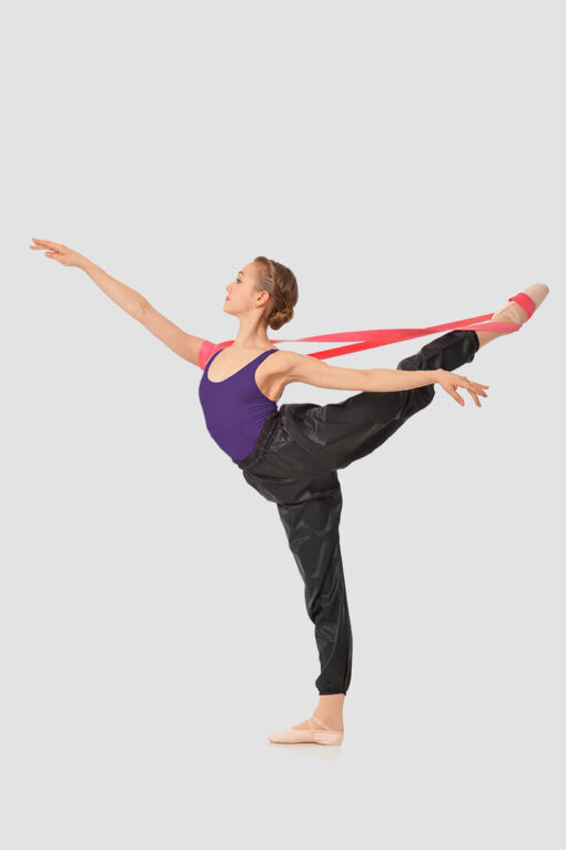 FLEXIBILITY BAND